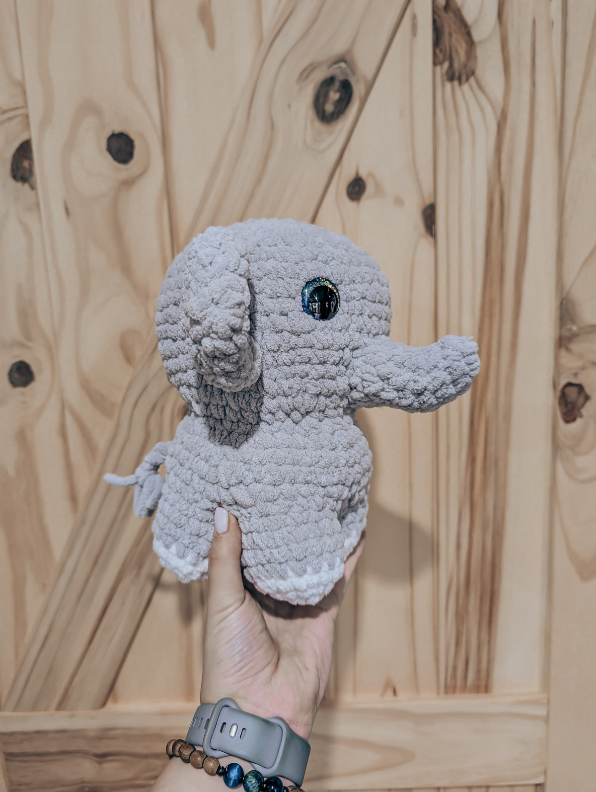 Evie the Elephant