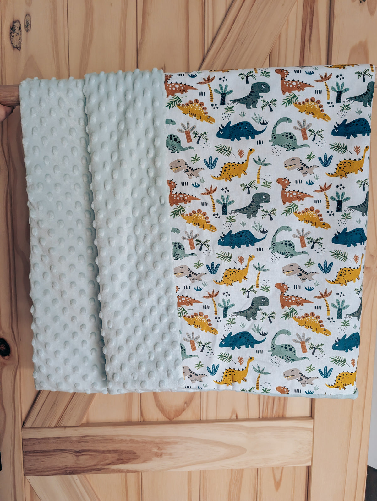 Dino dreams baby blanket