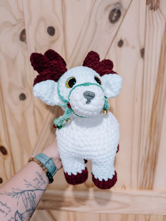 Belle the Reindeer